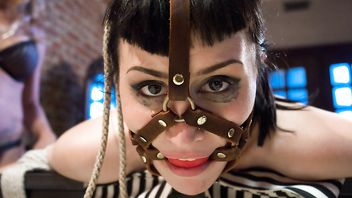 25047-Felony,Gia DiMarco,Katharine Cane