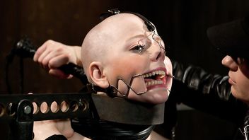 23625-Alani Pi,Coral Aorta