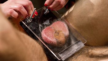 12454-Maitresse Madeline Marlowe,Riley Vlcek