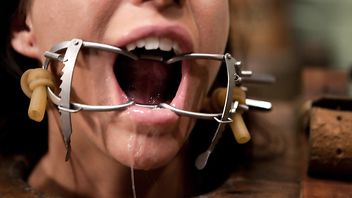 10082-Gia DiMarco,Maestro