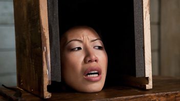 8993-Maestro,Tia Ling