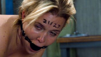 8420-Maestro,Sasha Knox