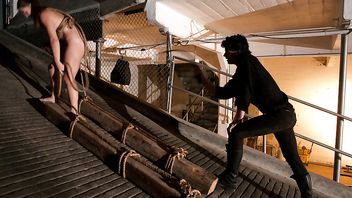 7011-Maestro,Savannah West