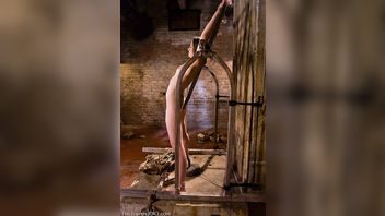 6769-Maestro,Sarah Shevon