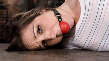 6462-Kiera King,Steve Holmes