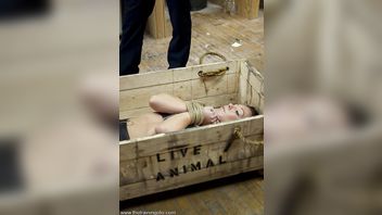 4514-Julie Night,Mark Davis