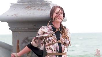 Statuesque Blonde, Ashley Lane, Drenched, Defiled, and Shamed