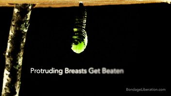 Protruding Breasts Get Beaten