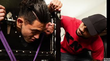 Hazed II: Xavier Zane, Brock Kniles, and Zeno Rey